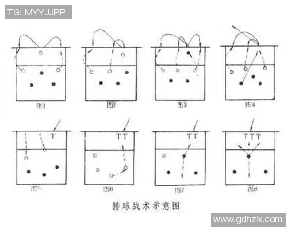 南京排球队的战术控制体系探析与实践应用研究 南京排球队的战术控制体系探析与实践应用研究