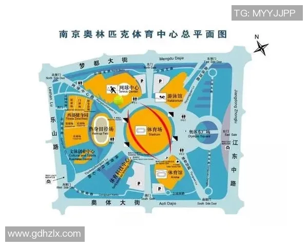 南京网球队在世界锦标赛积分榜上以65分稳居第一名展现强劲实力