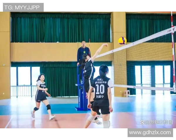 南京排球队技术实力跃升全新高度引领排球新风潮