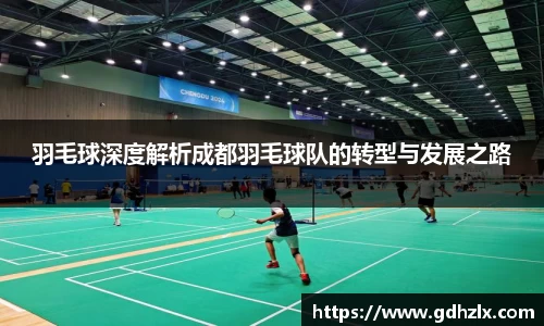 羽毛球深度解析成都羽毛球队的转型与发展之路